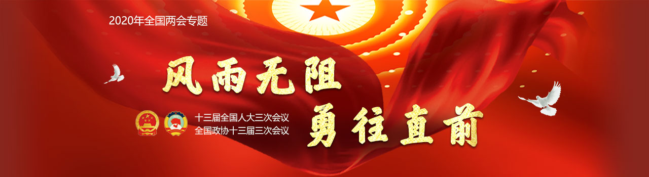 2020全國兩會專題