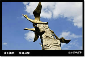 文化衡陽